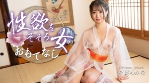 Sexuell erregende weibliche Gastfreundschaft在线观看