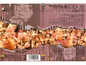 WK-105 淫秽相机 5 小林霞 - 小林かすみ在线观看